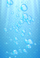 Realistic blue water bubbles with reflection on transparent background. Vector illustration