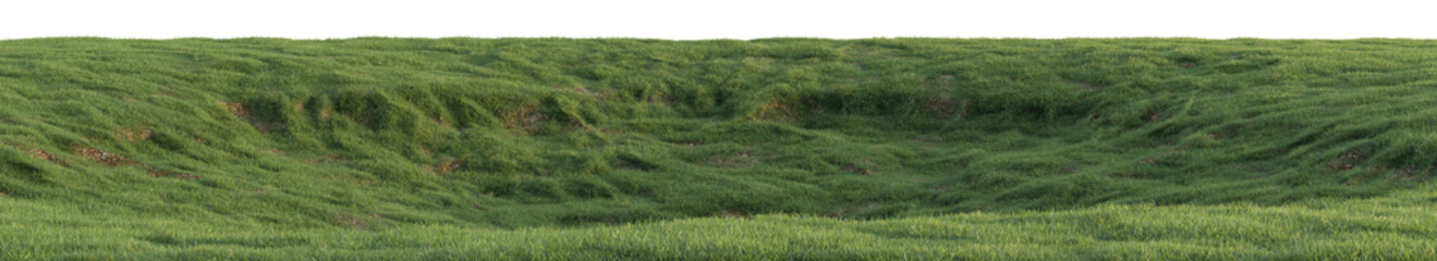 Meadow and Grassland mountain with isolated on transparent background - PNG file, 3D rendering illustration