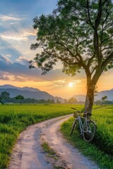 Fototapeta premium Bicycle on a background of a tree and a green field. Colorful landscape isolated. Without a person