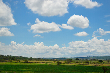 Paisaje verde pastizales con cielo azul y nubes blancas 