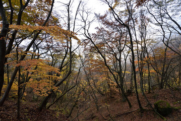 Climbing  Mount Arafune, Gunma, Japan