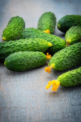 Fresh Cucumbers with Yellow Blossoms on Rustic Wooden Surface, Close-Up Organic Produce Photography