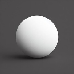 A single white round circle  with a smooth shell sits alone on a grey background