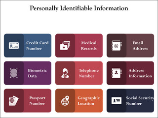 Eight Personally Identifiable Information. Infographic template with icons and description placeholder