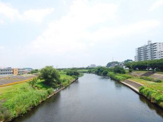 鴨居の鶴見川　鴨池大橋　鴨池橋
