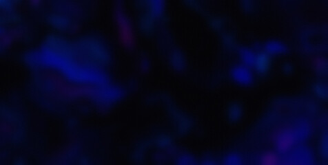 Experience the Whimsy of a Colorburst on a Cute and Colorful Abstract Background