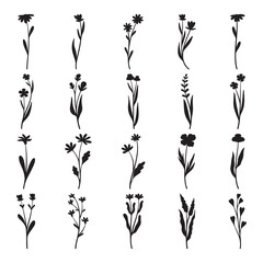 Set of plants and flower silhouette