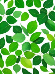 Obraz premium Green Leaf Patterns Image