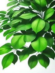 Obraz premium Green Leaf Patterns Image