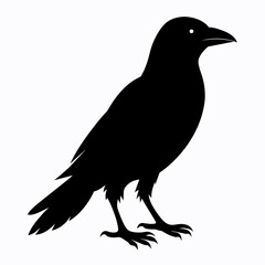 silhouette of a crow