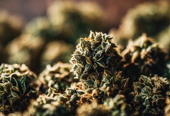Close-up of a bunch of dried cannabis buds