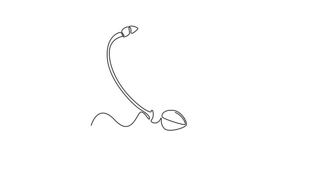 Animated self drawing of continuous line draw half sliced of healthy organic sweet cherries for orchard logo identity. Fresh fruitage concept for fruit garden icon. Full length single line animation