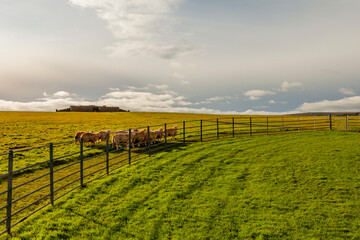 Mussenden Temple and Downhill Demesne,  Castlerock, Northern Ireland, UK