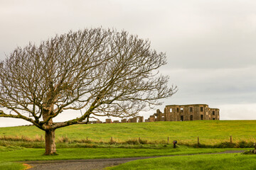 Mussenden Temple and Downhill Demesne,  Castlerock, Northern Ireland, UK