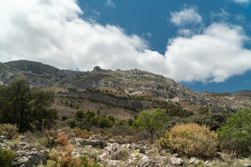 Obraz premium Alicante mountains, Serrella. Comunidad Valenciana (Spain) 