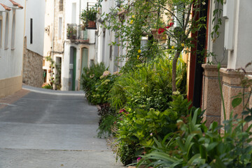 Naklejka premium Plants and flowers in a beautiful town street, in Castell de Castells, Alicante, Comunidad Valenciana (Spain)