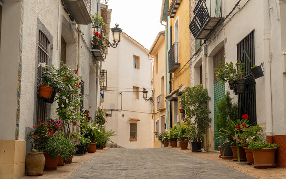 Plants and flowers in a beautiful town street, in Castell de Castells, Alicante, Comunidad Valenciana (Spain)