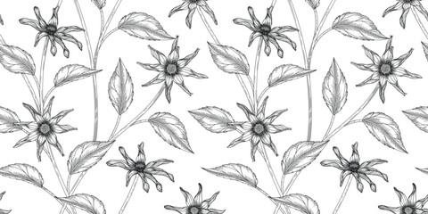 Dahlia floral pattern black and white illustration