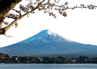 Fuji Mountain in Japan, snow capped peak in Spring isolated on white transparent 