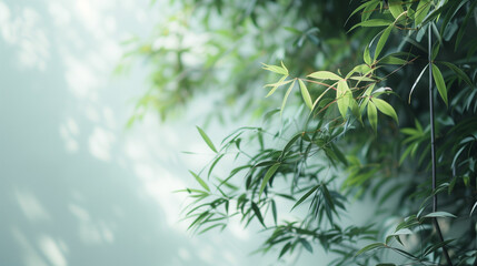 緑の優しい壁紙