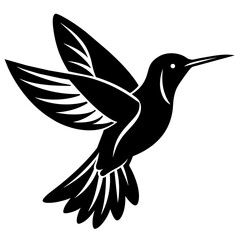 hummingbird vector