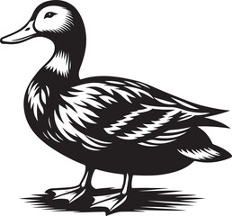 Best Duck vector, Silhouette, illustration