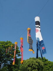 鯉のぼり（日本の伝統行事）