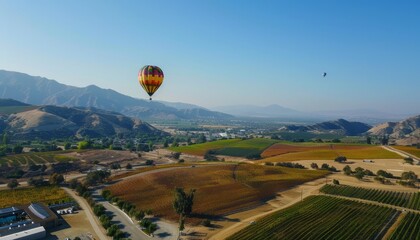 Obraz premium Floating among the vines: A breathtaking balloon journey at the Temecula Balloon Festival