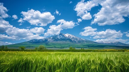 Obraz premium Optimized Sentence: Tranquil rural panorama with pristine fields, cerulean sky, puffy clouds, and an imposing mountain backdrop.