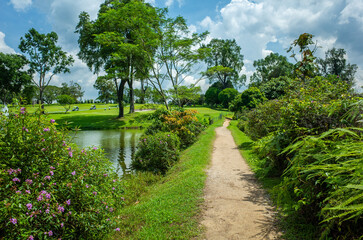 シンガポールのウィンザー自然公園