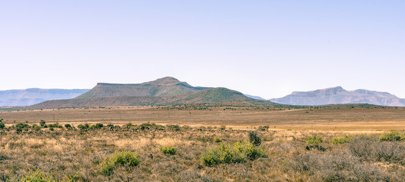 Mountain range in the Karoo with shrubs growing