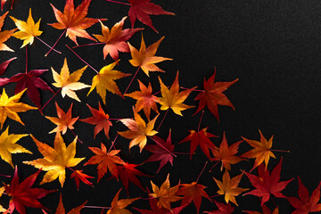 紅葉の落ち葉（黒背景）