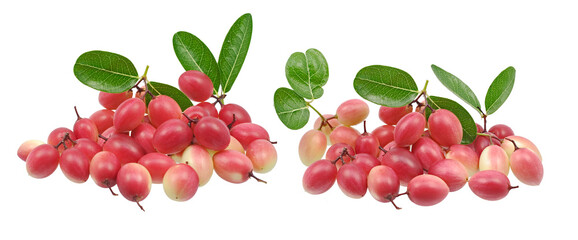 karonda fruit or bengal Currants and green leaf on white background