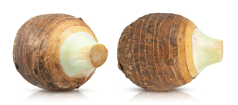 Taro isolated on white background