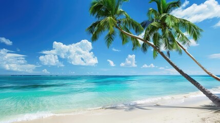 Obraz premium Palm Trees on Beach Tropical palm trees leaning over a sandy beach with turquoise water