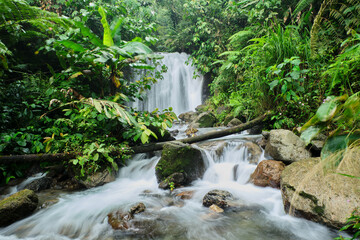 Indonesian Paradise: Breathtaking Waterfall in Halimun Salak Mountain Area