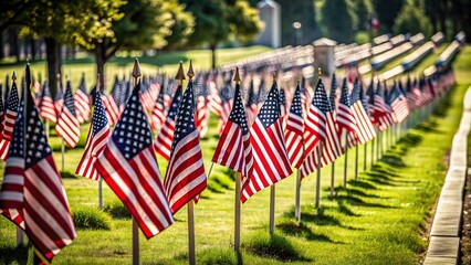 American flags lined up on graves in a cemetery