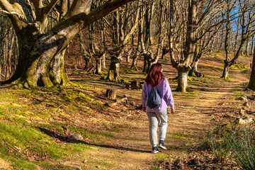 A woman walks through a forest with a backpack on her back