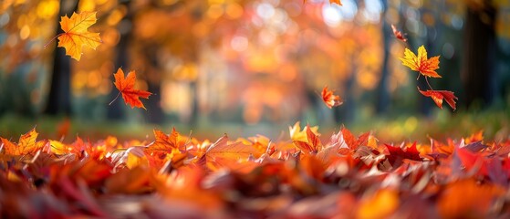 Vibrant Autumn Leaves Falling in a Forest with Warm Sunlight and Colorful Foliage Creating a Picturesque Seasonal Scene