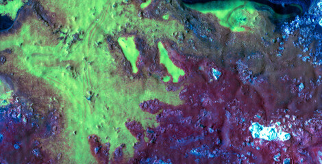 Explore an Eclectic and Expressive Painted Dreamscape: A Vivid Tapestry of Colors and Abstract Forms