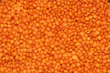 red lentils background. lentil background