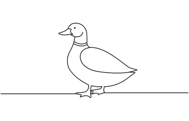 Duck in one continuous line drawing vector illustration. Pro vector, duck continuous line vector illustration, Continuous single line art drawing of pet animal duck concept outline vector illustration