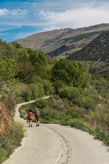 Obraz premium hikers walking along a path surrounded by nature towards the mountains