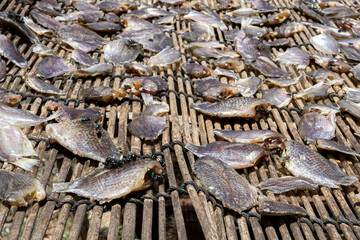 Sun-Dried Fish on Bamboo Mat