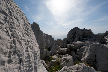 石灰岩が美しい白崎海岸
