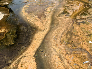 The flowing river water creates a mesmerizing display as it dances over rocks and bends. This continuous motion nourishes vibrant yellow moss.