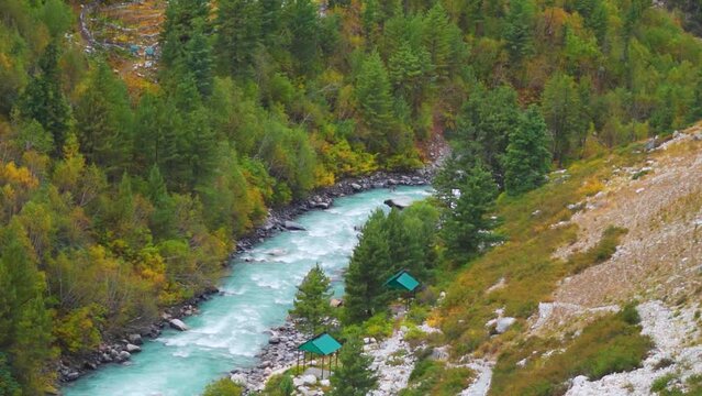 Landscape shot of blue coloured Baspa river flowing in the forest in the Himalayas as seen from Chitkul in Kinnaur, Himachal Pradesh, India. Baspa river during the autumn season in the Baspa valley