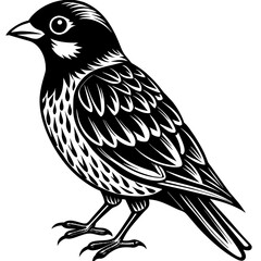 illustration of a bird