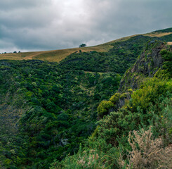 Panoramic view over Te Toto Gorge Lookout and Mt Kariori on an overcast summer day. High vantage point. Raglan Waikato