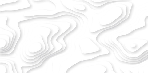 Vector 3D abstract background with paper cut shapes. paper cut topography vector art background banner texture. White wave paper curved reliefs abstract background. Realistic papercut decoration layer